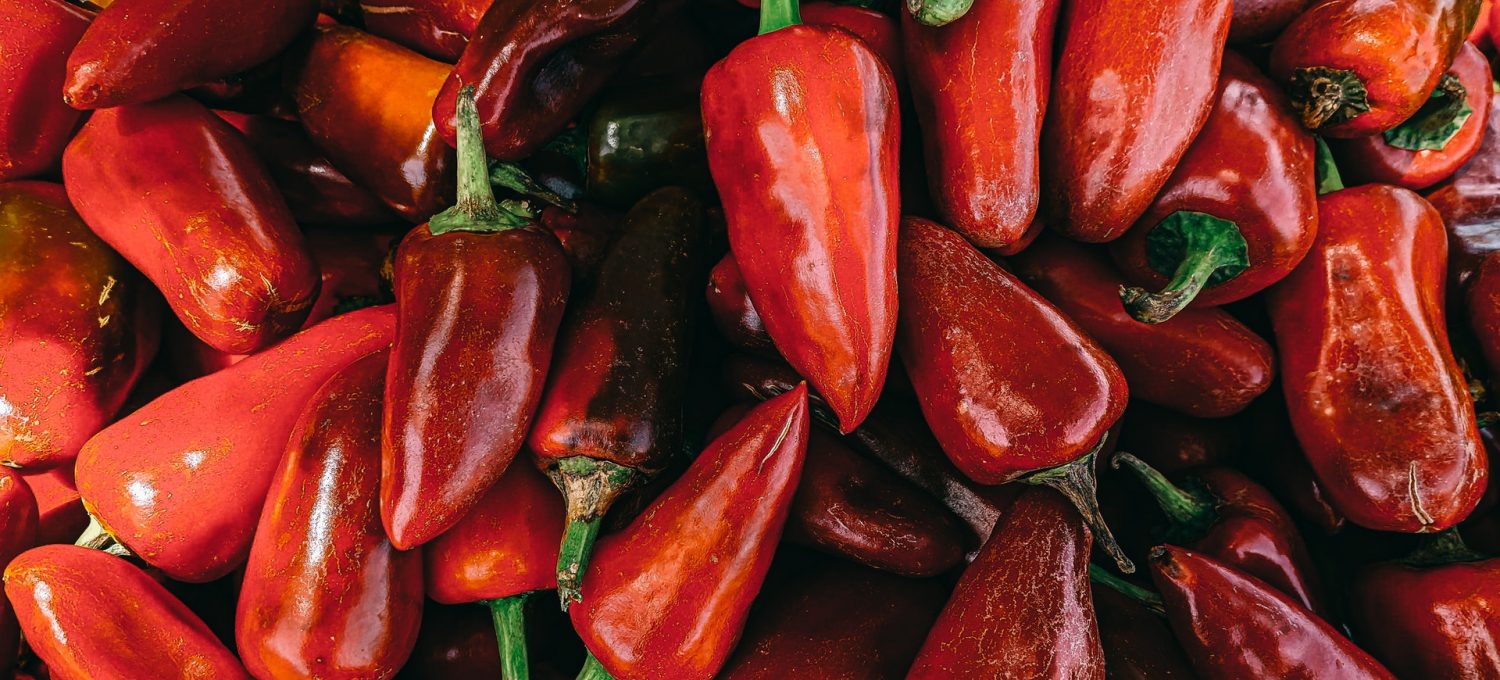 Chilischoten für die Schärfe im Chili con Carne