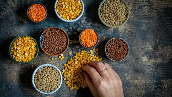 Ernährung & Gesundheit