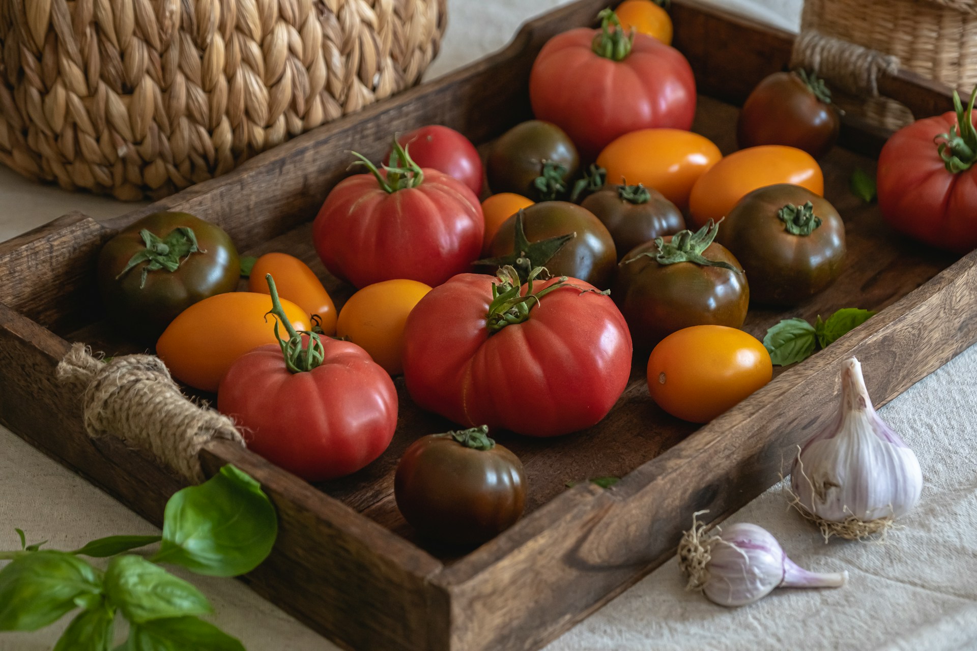 Tomaten, Knoblauch und Basilikum für die cremige Tomaten Pasta