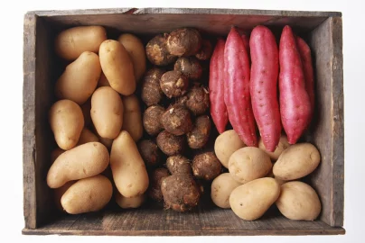 Verschiedene Kartoffeln
