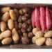 Verschiedene Kartoffeln